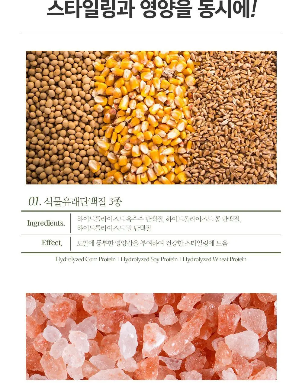 [자연스러운_엣지] 포레스트스토리 매트라이트 워터스프레이 252ml 상세페이지 5